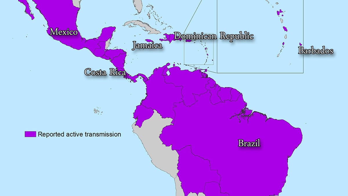 Зураг ямайка zika