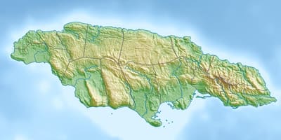 Зураг халамжийн jamaica
