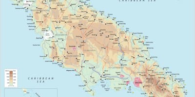 Зураг эрдэнэсийн бах jamaica