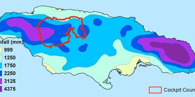 Зураг ямайка уур амьсгалын